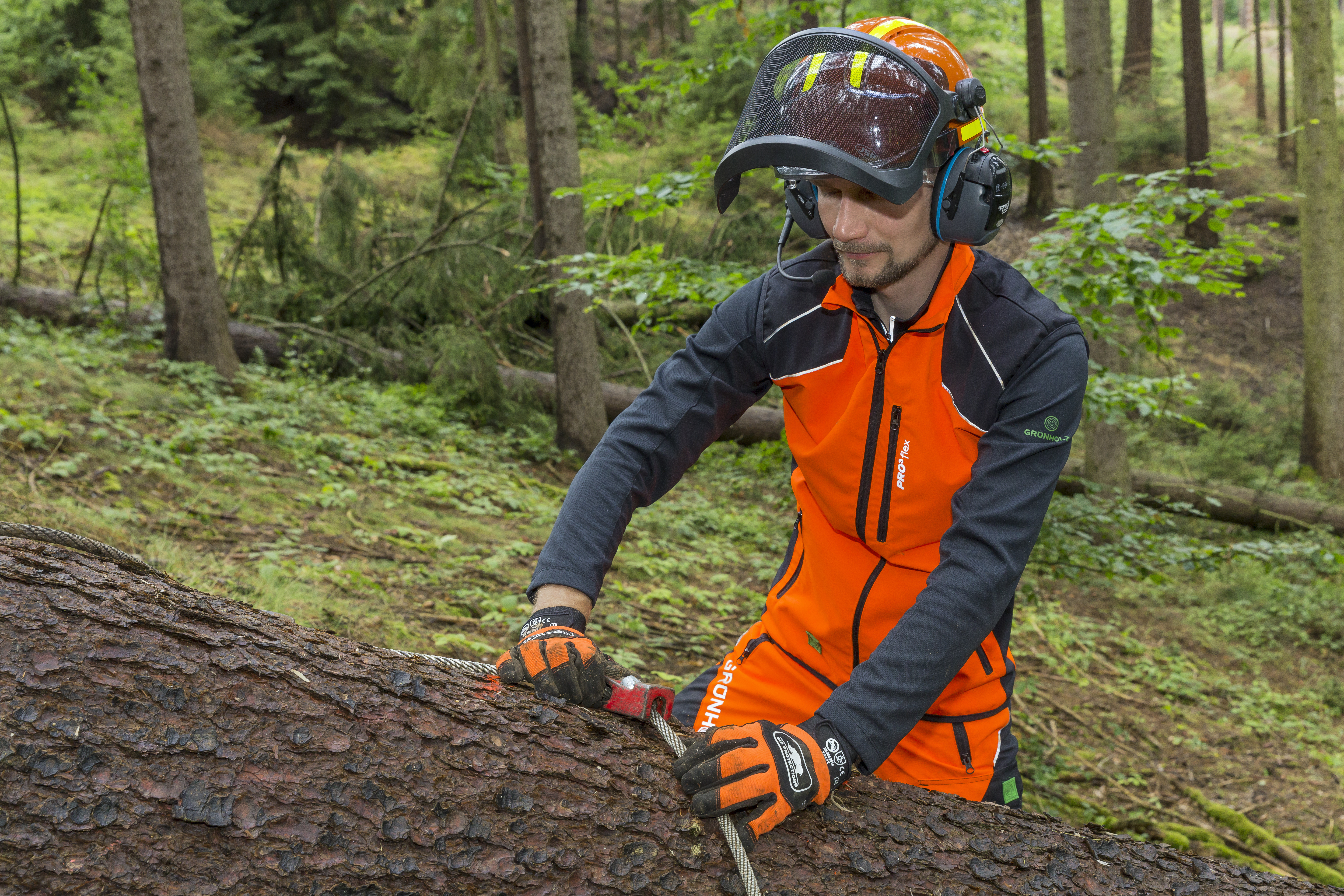 Partner - Forstwindenseile im Vergleich