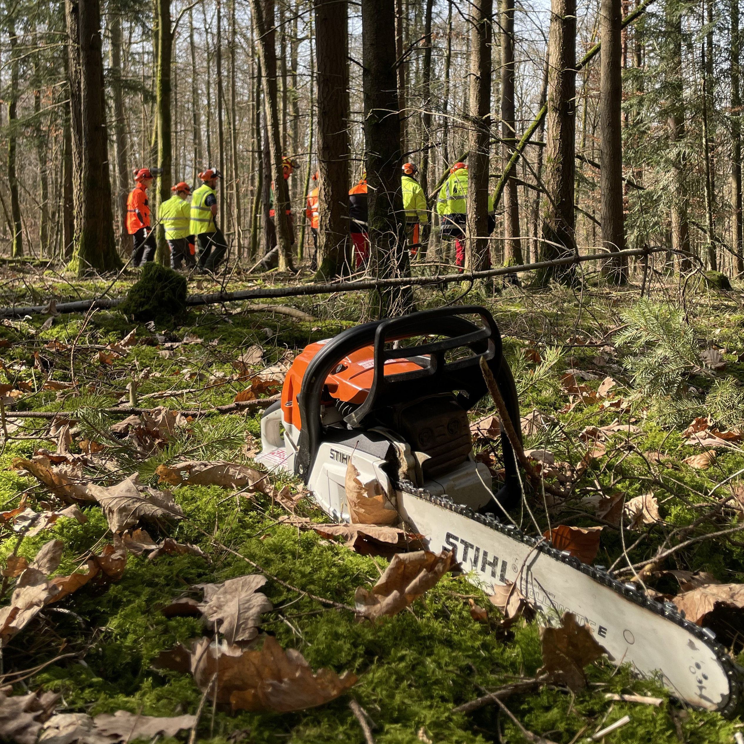Motorsägenkurs Modul B