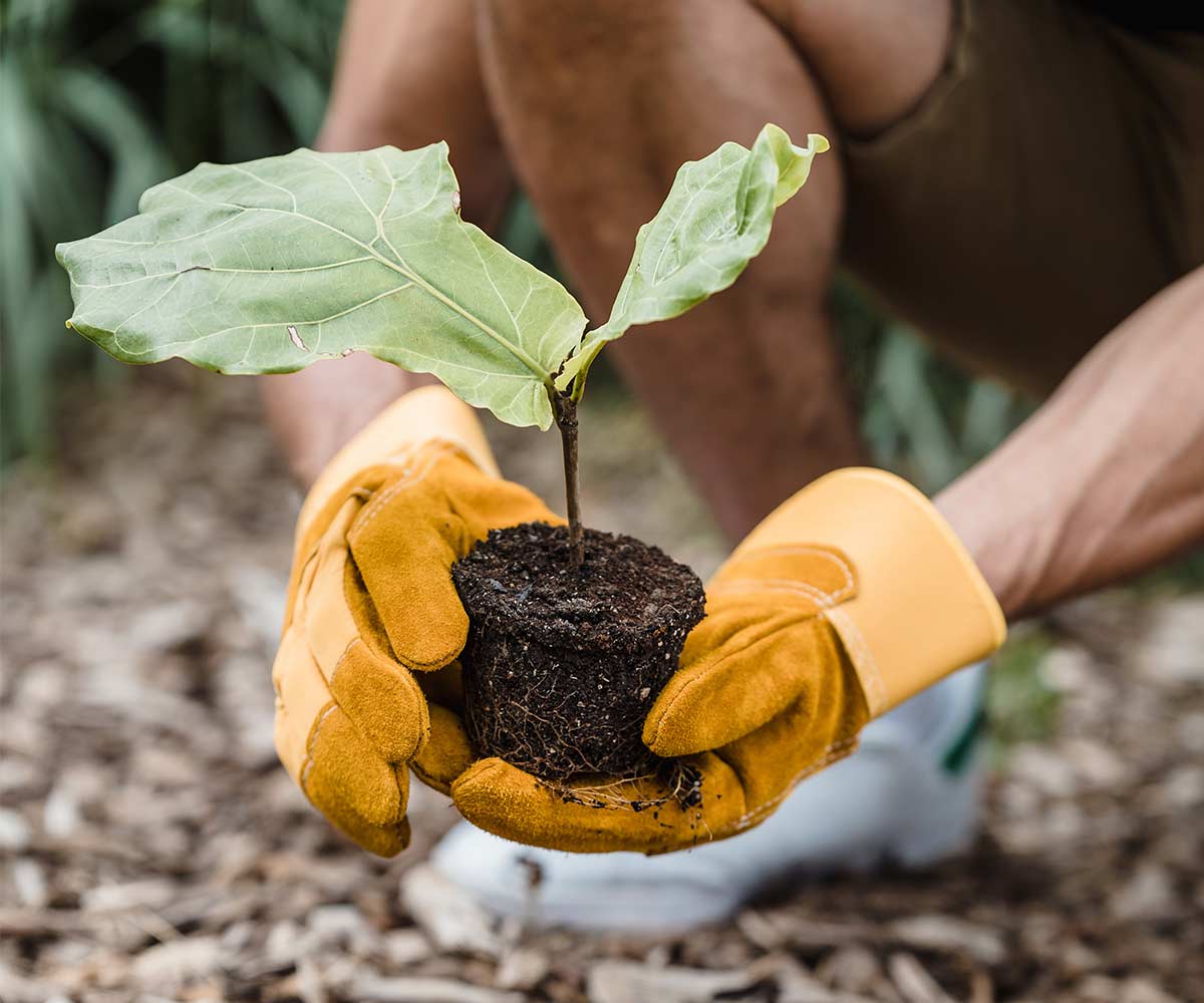 TIPPS – 5 einfache Wege, wie Du die Umwelt schützen kannst und was wir für die Nachhaltigkeit tun TIPPS – 5 einfache Wege, wie Du die Umwelt schützen kannst und was wir für die Nachhaltigkeit tun