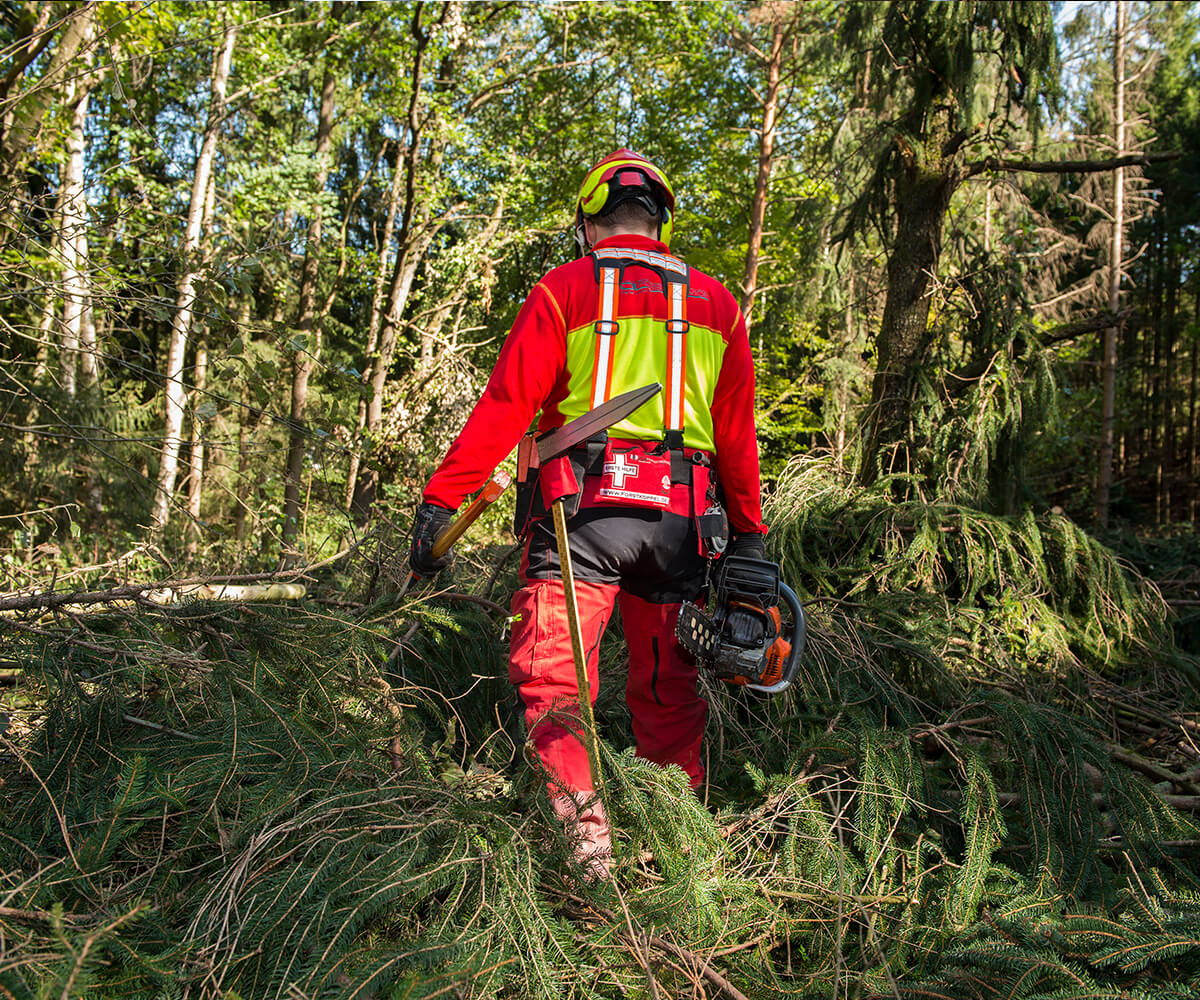 Anwendung-Forstkoppel-2TsgjGn1xC0j5P