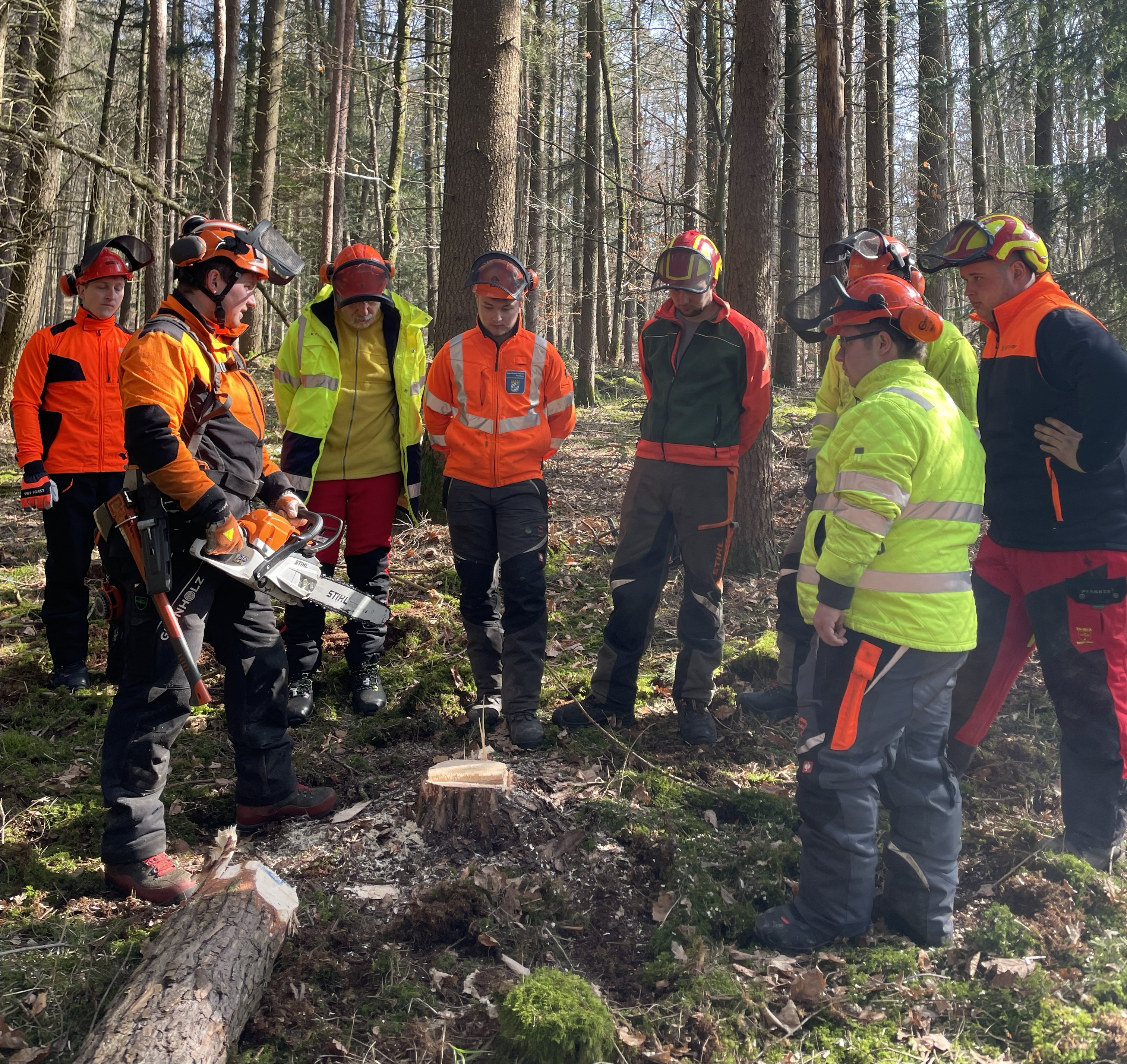 Motorsägenkurs Modul A