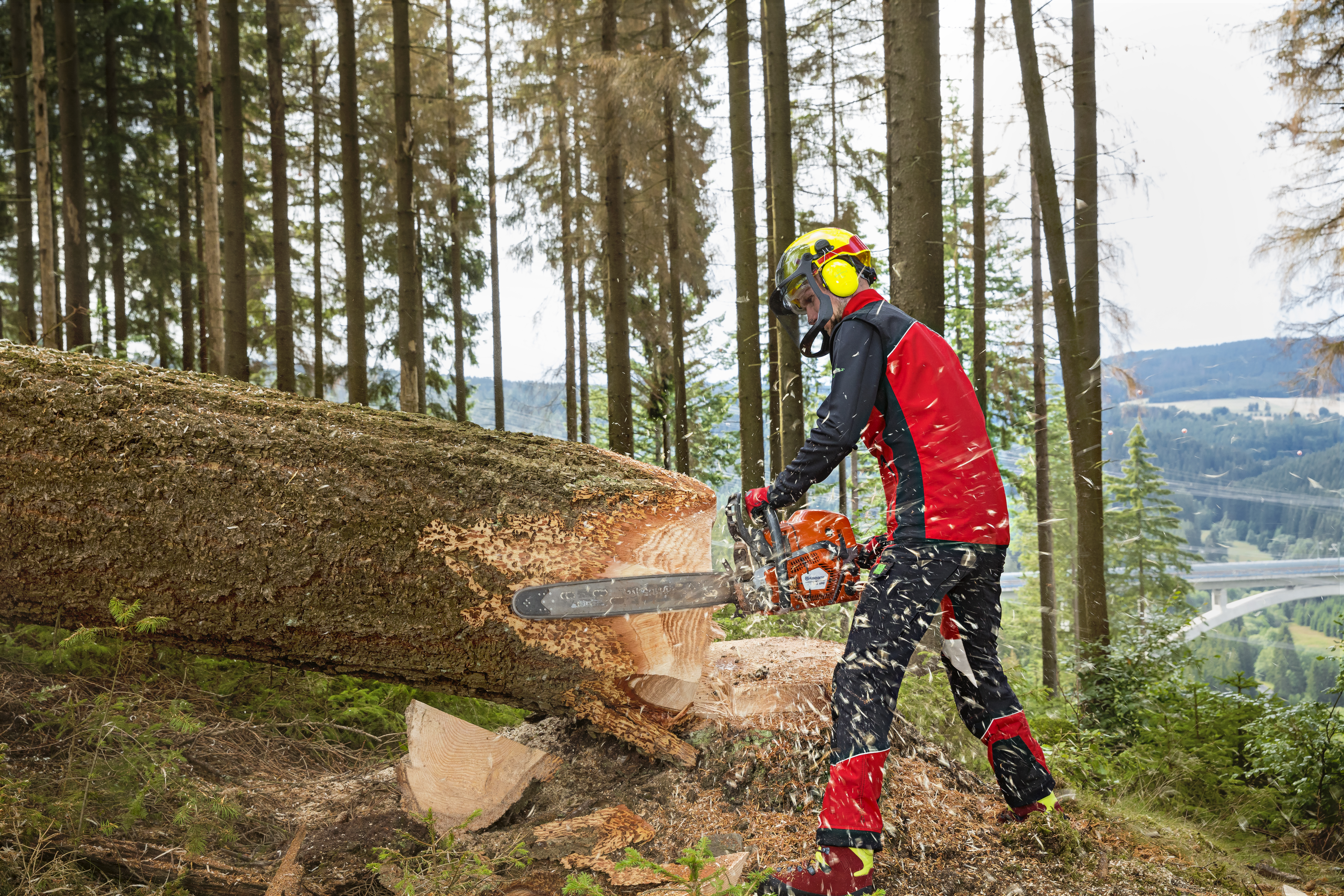 FAQ - Schnittschutzhosen - worauf kommt es wirklich an?