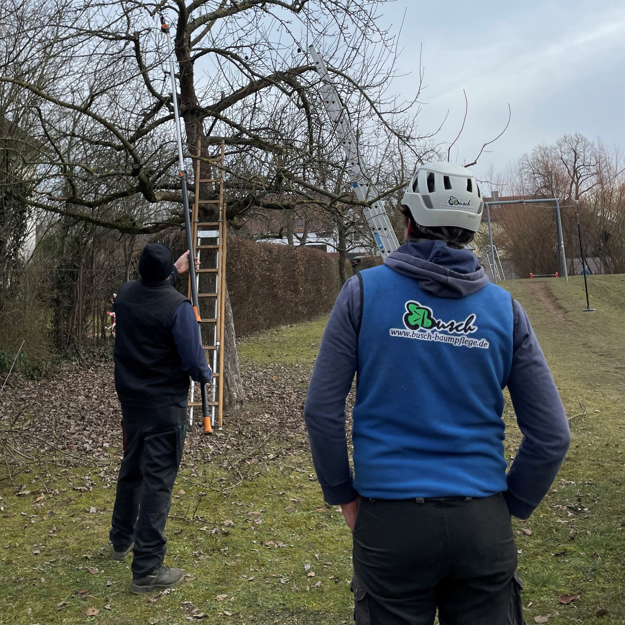 Obstbaumschnitt Grundkurs