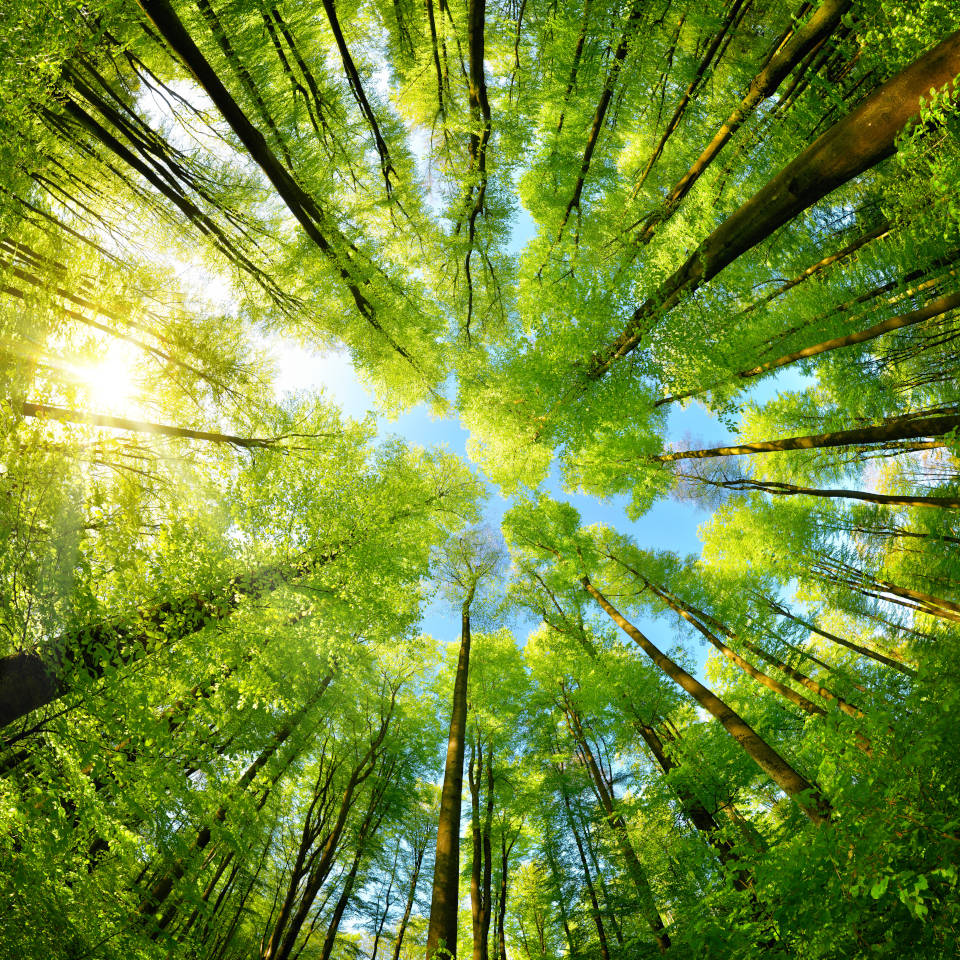 teaser-aus-liebe-zur-natur