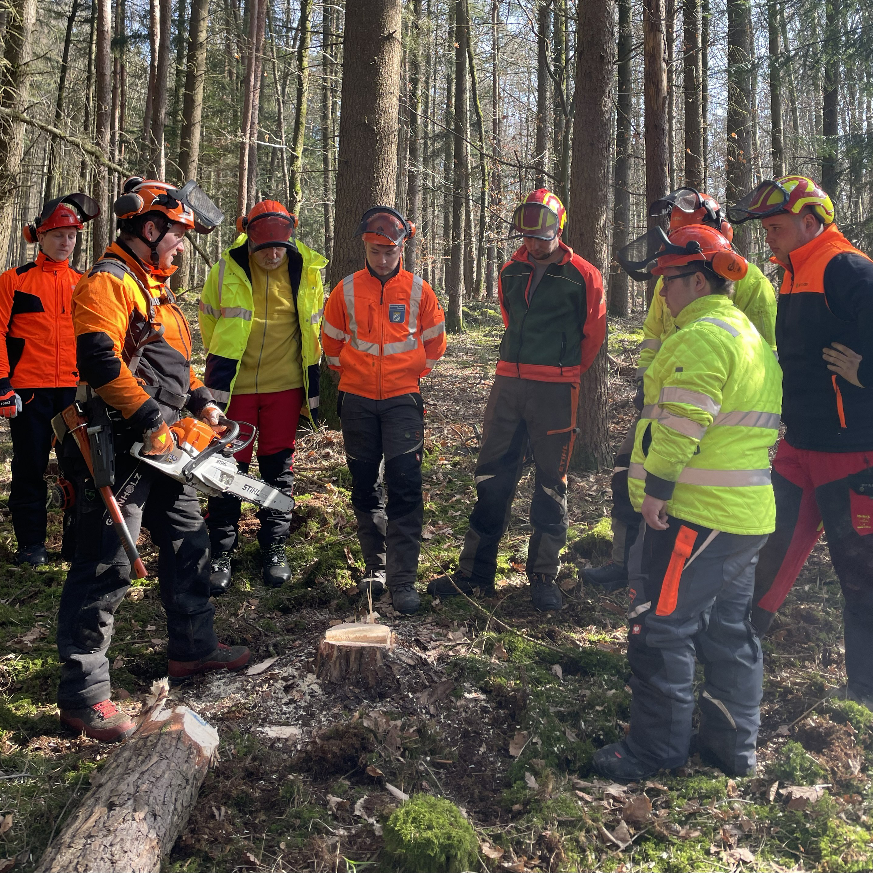 Motorsägenkurs Modul A