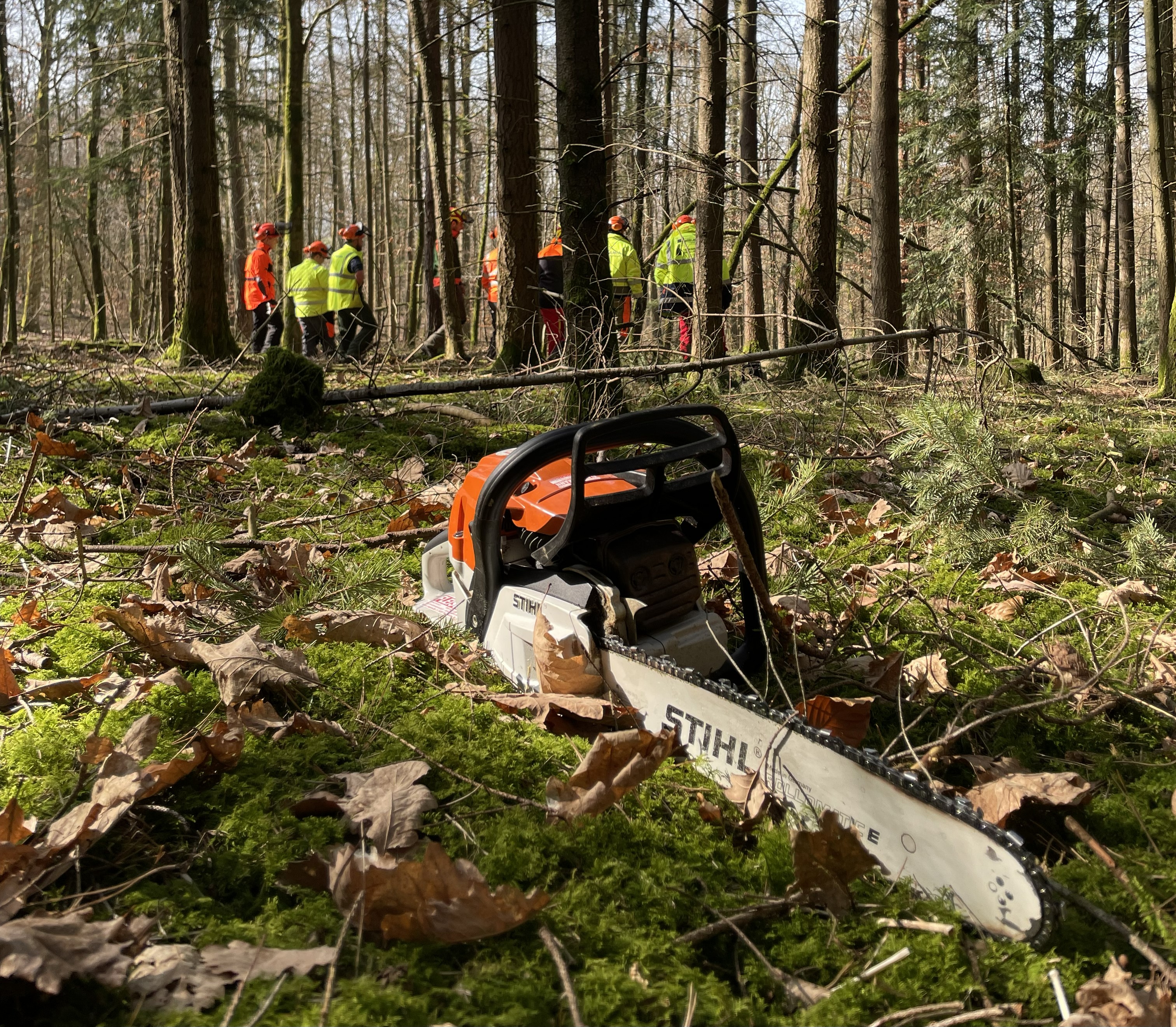 Motorsägenkurs Modul B
