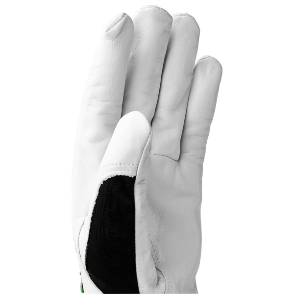 Hastra_73140_100_2 Hestra Handschuhe Kobolt Flex