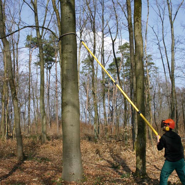Faellhilfeseil_Anwendung Fällhilfeseil aus Dyneema