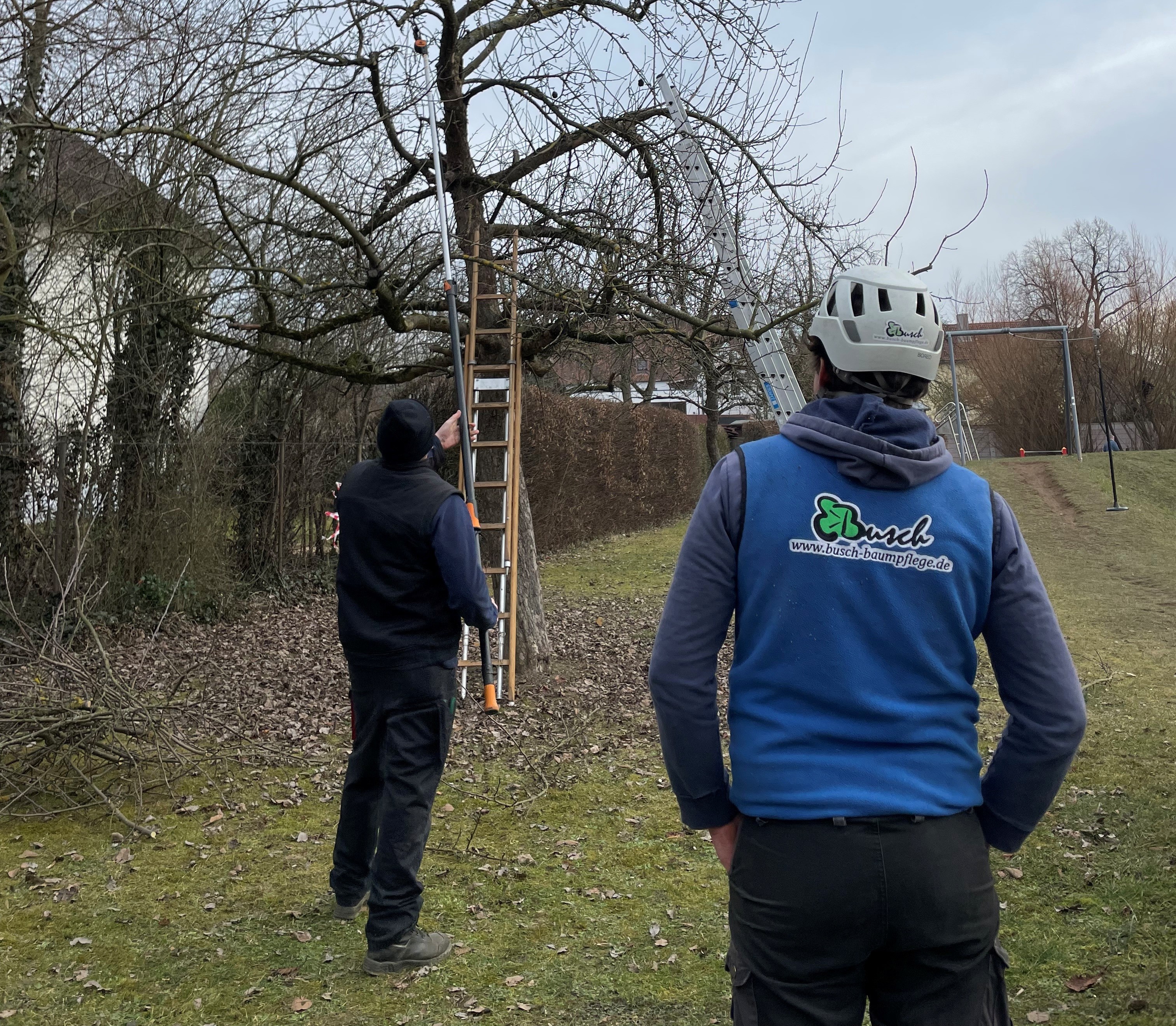Obstbaumschnittkurs für Einsteiger