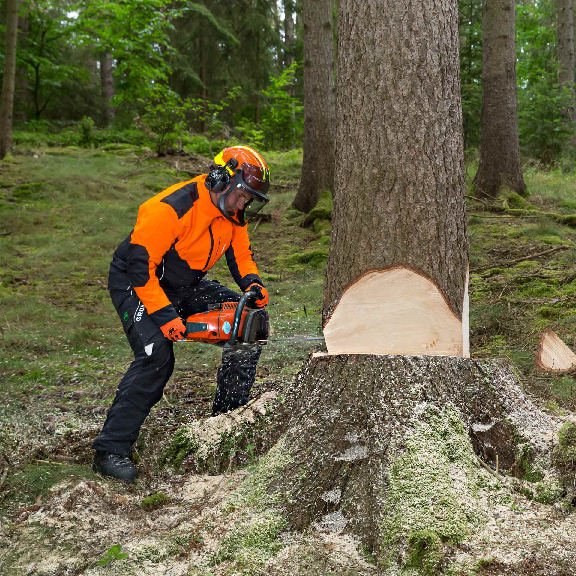 GRÜNHOLZ® Pro³®top Forsthelm