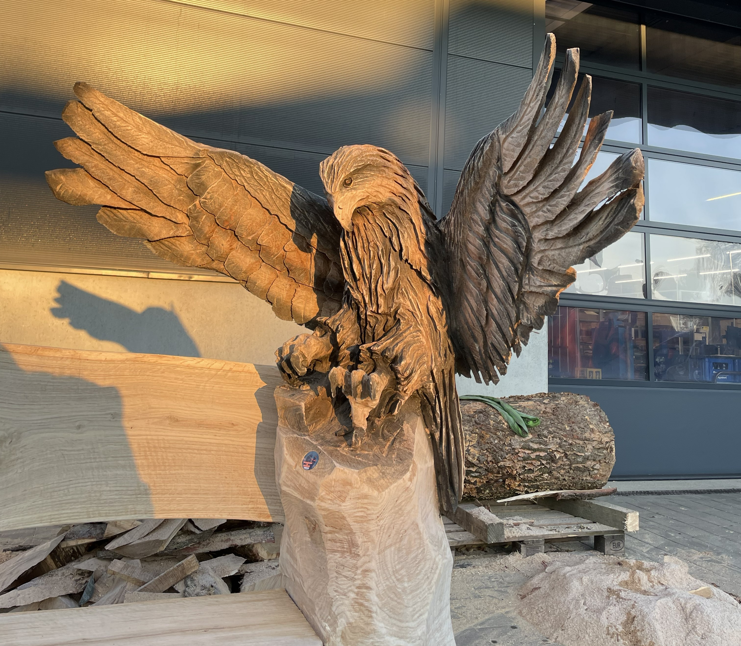 Schnitzkurs für Einsteiger