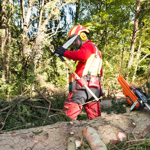 Kennzeichen Forstbetrieb, Warnständer & Absperrbanner, Werkzeuge für die  Waldarbeit, Forst