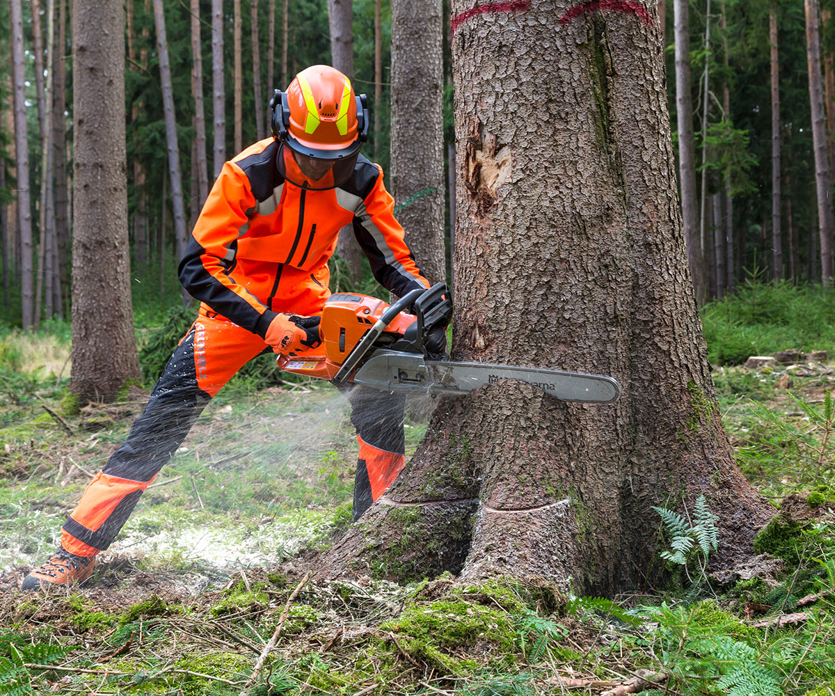 Die beste Husqvarna Kettensäge 2024